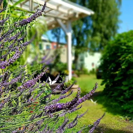 בית אירוח Bri *