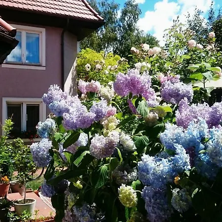 Bri Homestay szállás
