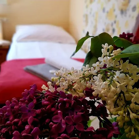 Bri Δωμάτια σε οικογενειακή κατοικία