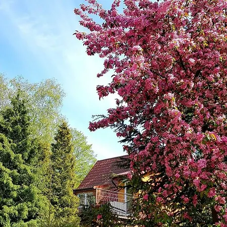 בית אירוח Bri *