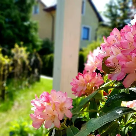 Homestay szállás Bri Łeba