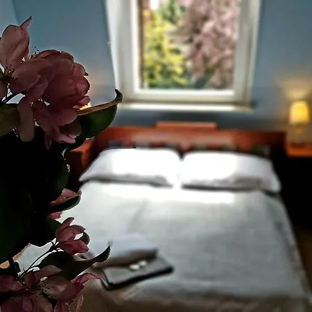 בית אירוח Bri וובה