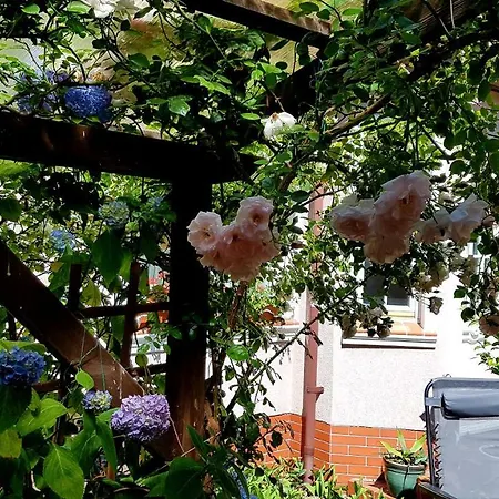 Bri בית אירוח *