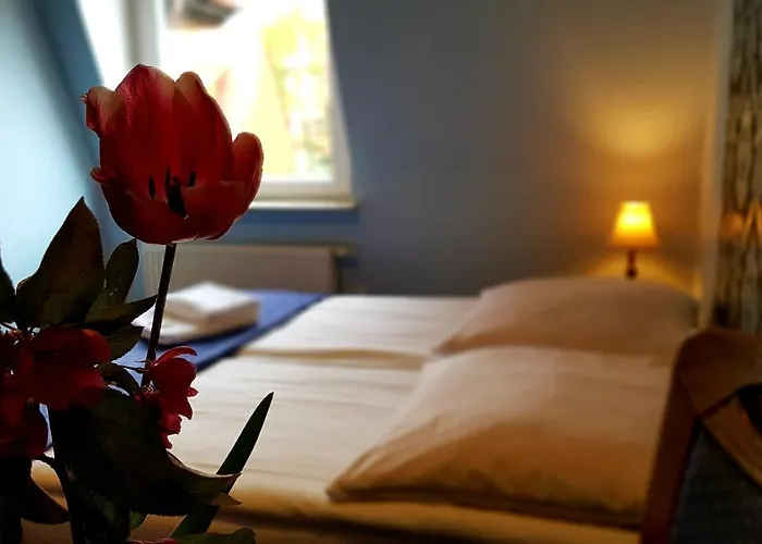 Homestay szállás Bri