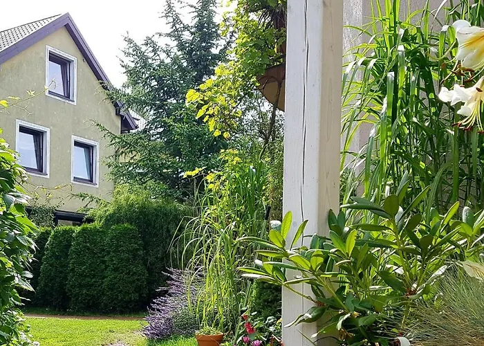 Bri Homestay szállás Łeba