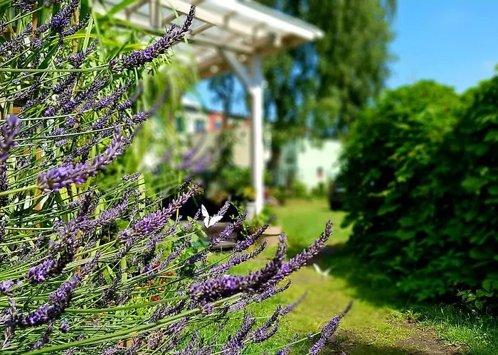 Homestay szállás Bri *