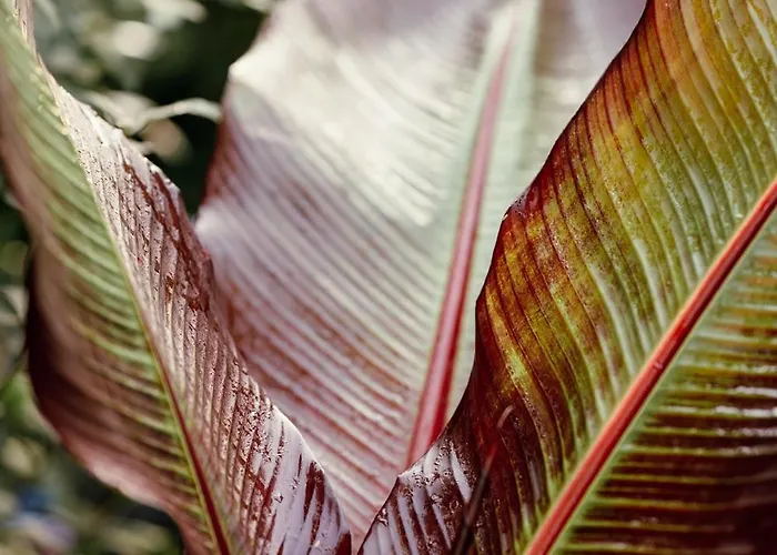 Bri Homestay szállás *