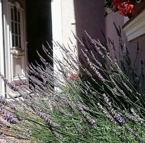 Homestay szállás Bri *