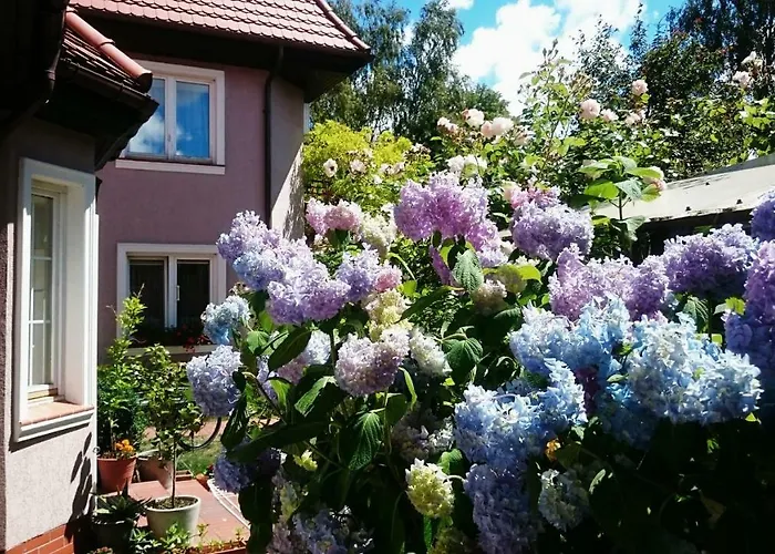 Bri Homestay szállás