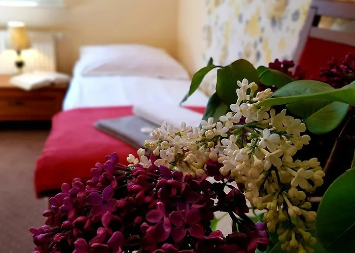 Bri Homestay szállás