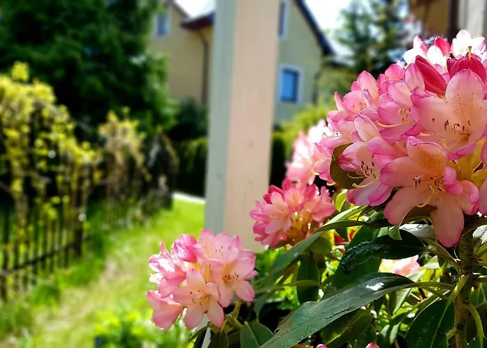 Homestay szállás Bri Łeba