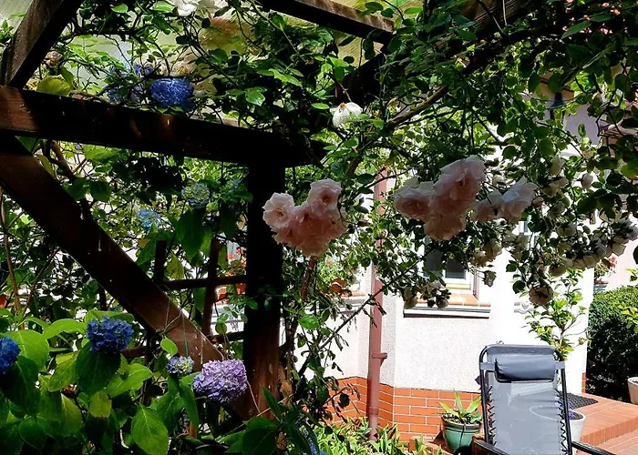 Bri Homestay szállás *